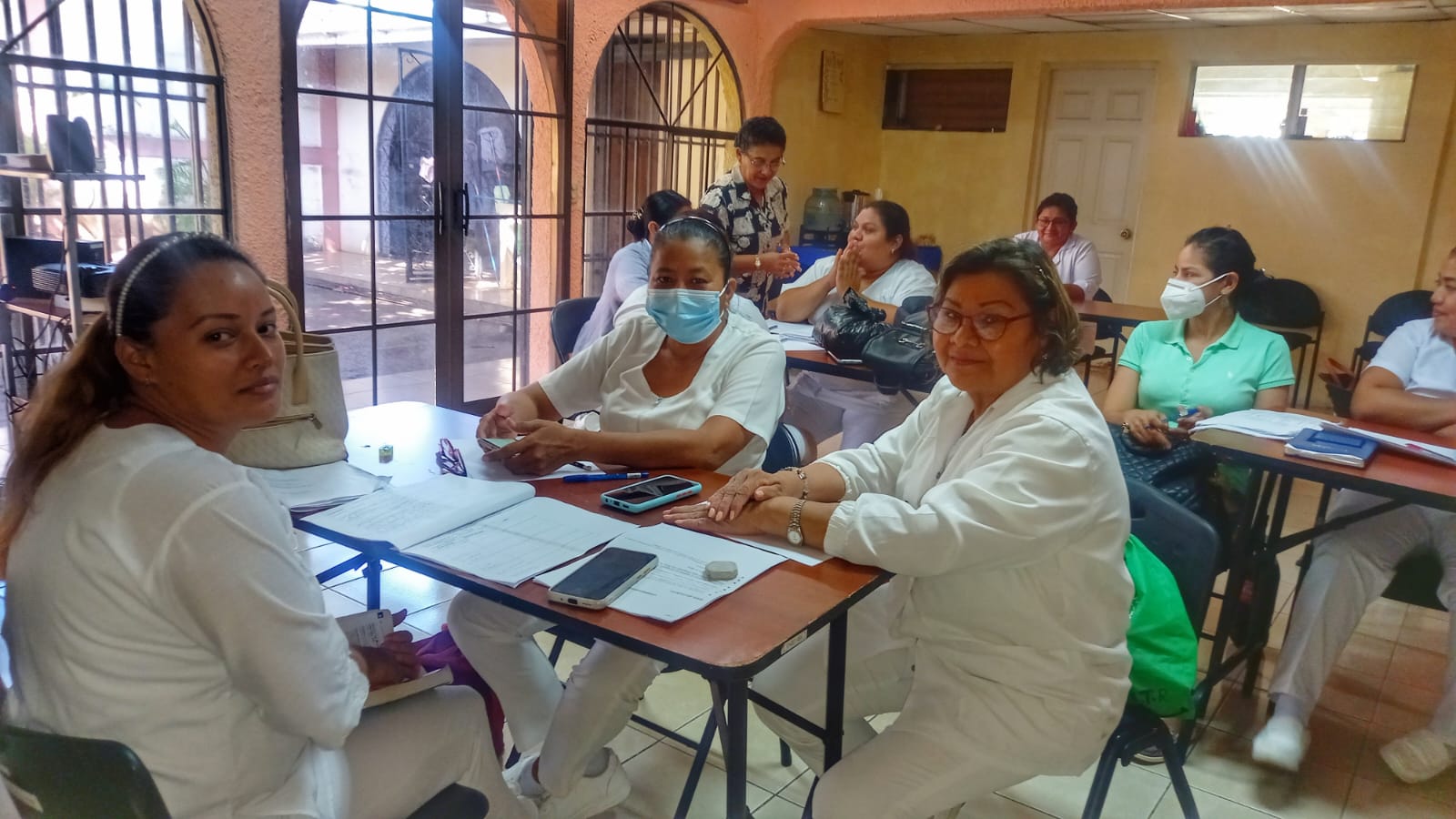 La Federación Panamericana de Profesionales de Enfermería FEPPEN felicita a la Asociación de Enfermeras Nicaragüenses por los procesos de Capacitación